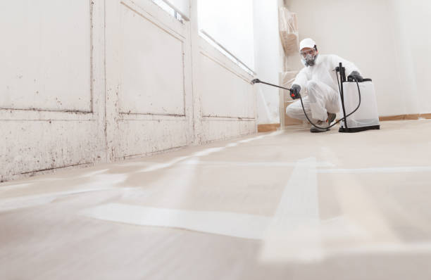 24/7 Emergency Commercial Mold Remediation experts in Berryville, VA