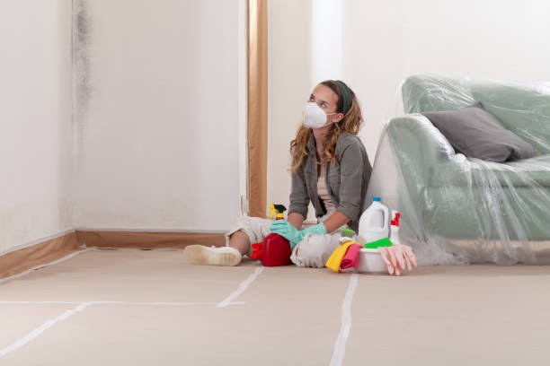 Reliable Commercial Mold Remediation contractor in Berryville, VA by WQB Mold Removal