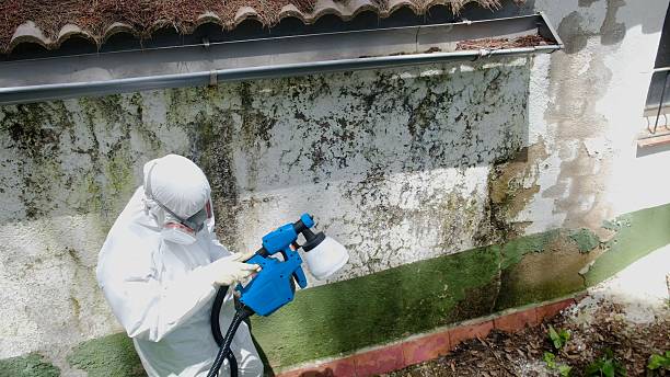 Top rated local Commercial Mold Remediation specialists in Berryville, VA